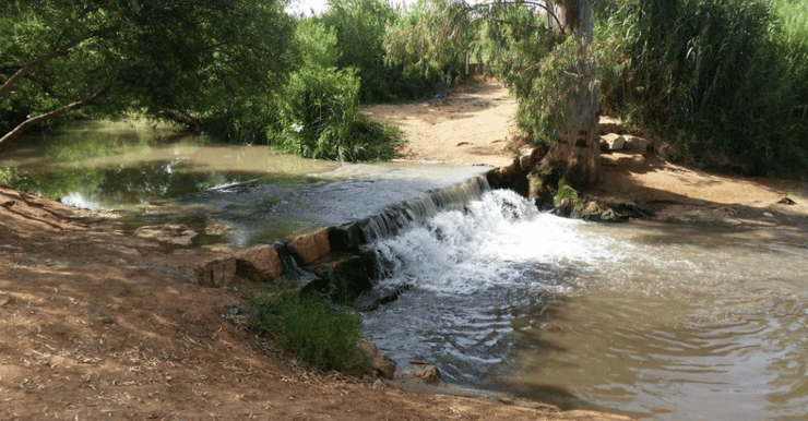 חווה חקלאית חדשה בסמוך לנחל הירקון