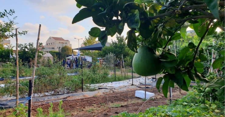 גינת הפעמונים ברעננה