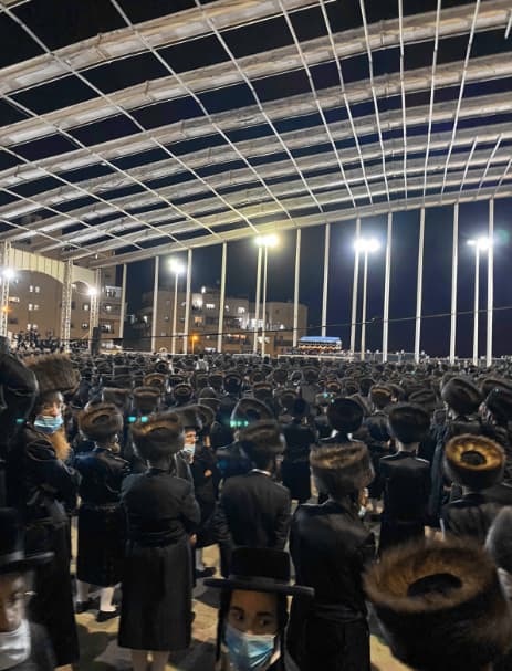 החתונה בבית המדרש של בעלז