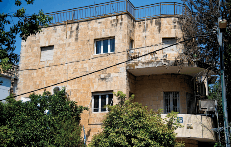 הנרקיס 10