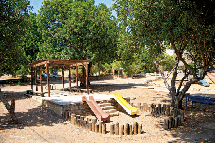 הזירה בקרית יובל (צילום: יואב דודקביץ') הזירה בקרית יובל