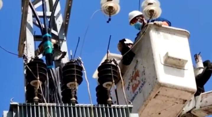 חילוץ העוף מעמוד החשמל