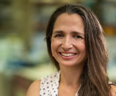 ד"ר נעמה גבע־זטורסקי  