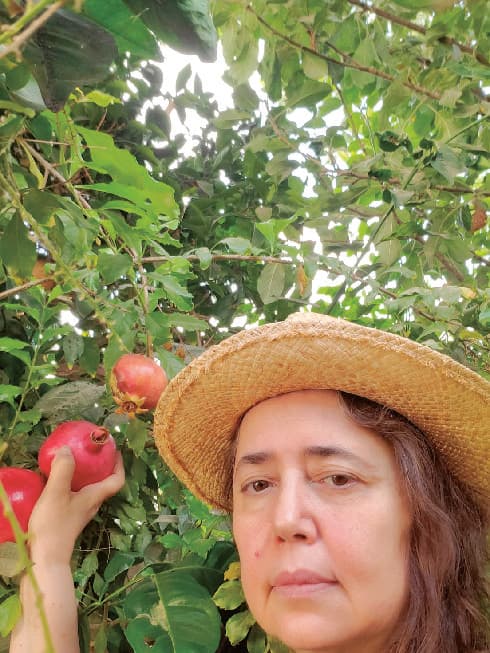 פרופ' חביבה פדיה. בין פומביות ואינטימיות