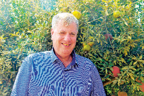 זמיר