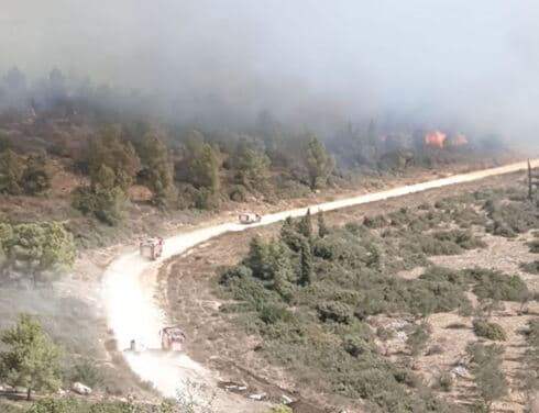 שריפות ענק בכל האזור