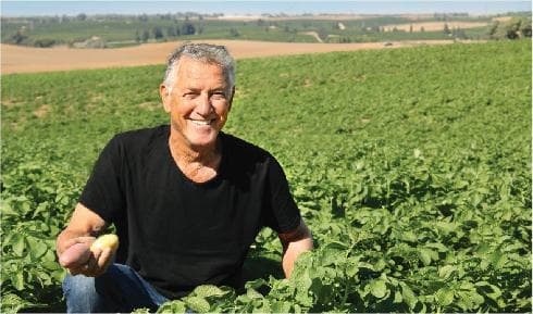 מיכה לוטרינגר