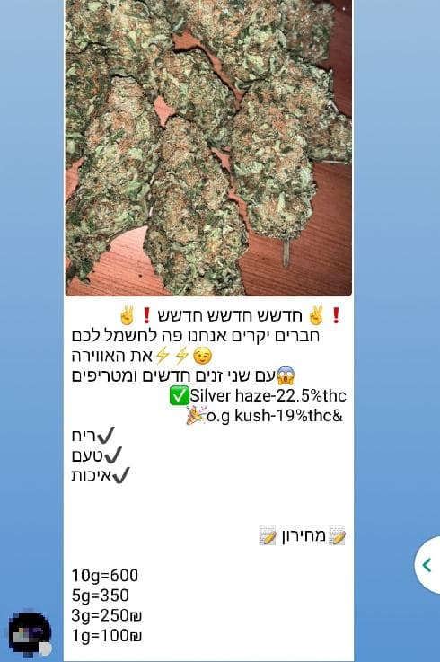 מכירת גראס בטלגרם