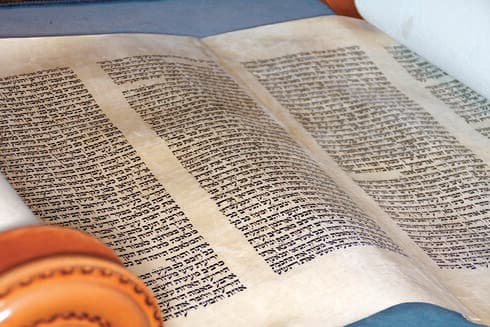 "כמו הגשמת חלום בשבילי" 