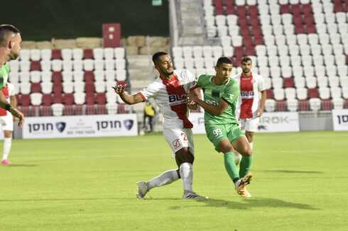 מתן פלג (צילום: שרון צור) מתן פלג