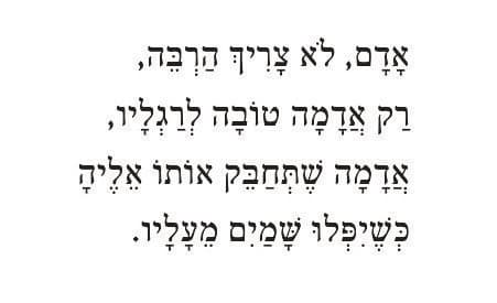 מתוך ספר השירים "מצפה לחושך שיופיע"