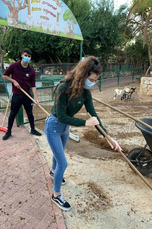 מכינים אוכל לבעלי החיים בחי כיף