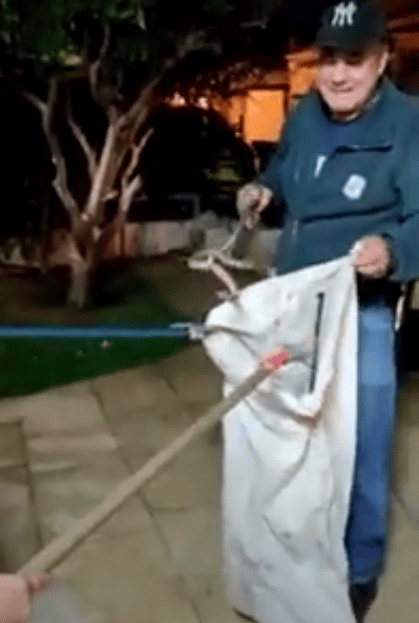 לכידת נחש צפע קריית מטלון פתח תקוה