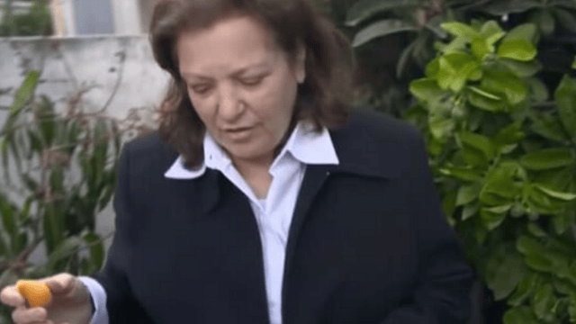 בתיה לבל. "החלטה מקוממת"