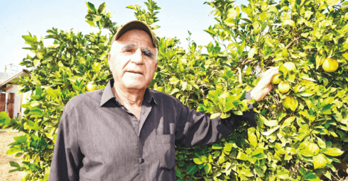 שלמה תירוש. הסיפור משתנה כשזה מגיע לערכאות משפטיות