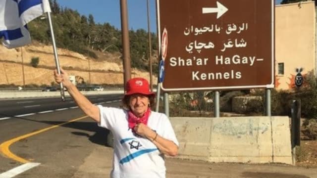 שולה קליין. "גם הערב אפגין" שולה קליין. "גם הערב אפגין"