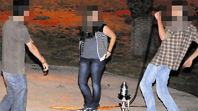 ניטור הרעש בפארקים לשכונות הסמוכות