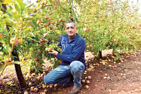 ירון בלחסן. "נזקים של חמישים־שישים מיליון שקל"