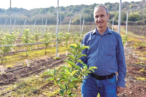 עמוס לוין. "שמורת טבע"