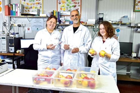 מימין: נועם מימון, ד"ר שאול נשיץ, אלה צבילינג