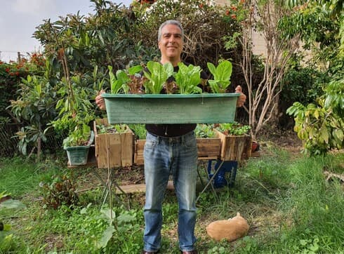 גדעון בכר. "בניתי חלק מהעציצים והאדניות שלי מעץ וקרשים שמצאתי ברחוב"