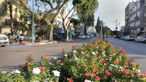 נדל"ן ברחובות (צילום: אבי מועלם) מרכז רחובות