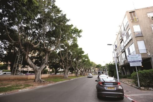 שדרות העצמאות. פינה ירוקה בין עבודות הרכבת