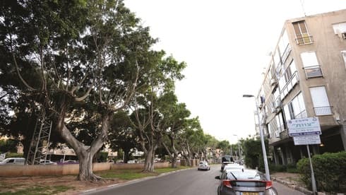 שדרות העצמאות בבת ים