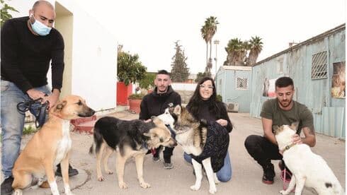 המתנדבים השבוע במתקני העמותה. "הם זקוקים לנו שנעניק להם חום ואהבה"