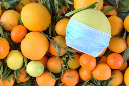 כדאי לצרוך ויטמין C על בסיס יומיומי וויטמינים מקבוצת B שתורמים לרוגע (צילום: shutterstock) כדאי לצרוך ויטמין C על בסיס יומיומי וויטמין D על פי המינון המומלץ