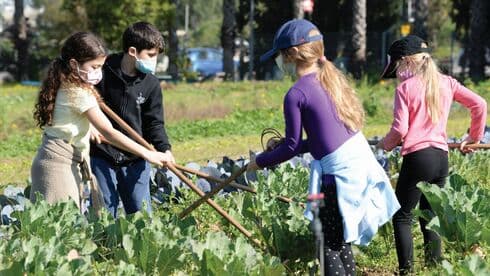 תלמידים בחווה החקלאית תלמידים בחווה החקלאית