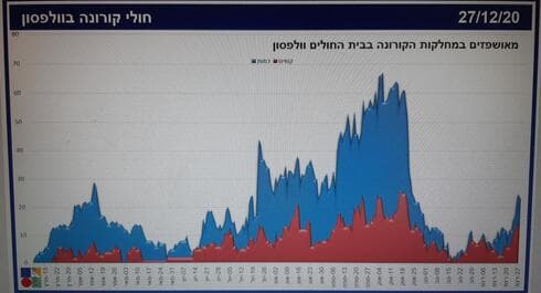 גרף התחלואה בוולפסון