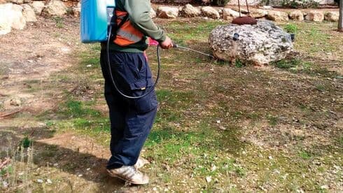 הדברה במודיעין
