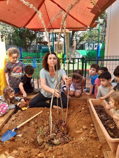 גן יובל ברחובות שהפך לגן ירוק 