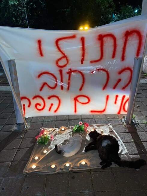 מחאת החתולים המתים בבת ים