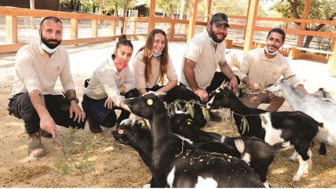צוות המטפלים במקום."כל גני החיות בארץ בצרה אחת גדולה"