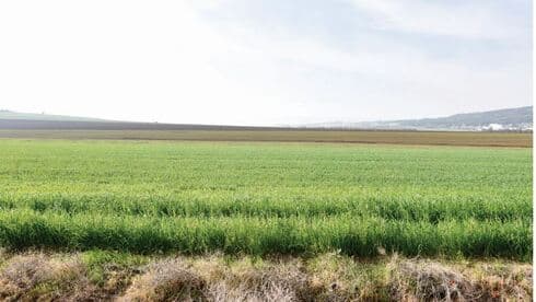 האזור בו אמור לקום המרכז 