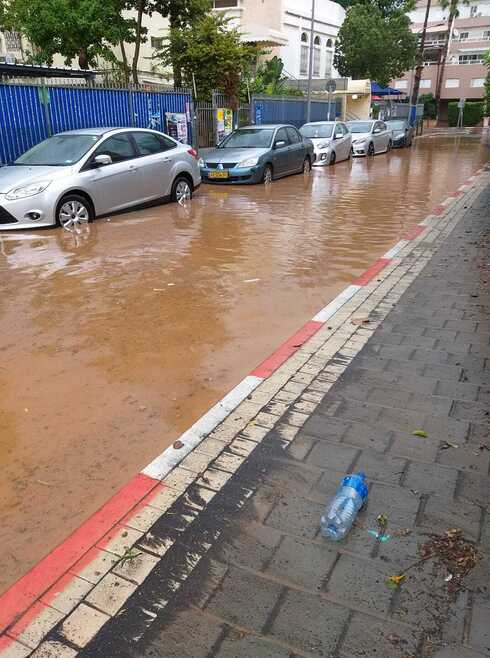 רחוב ליאון רייך