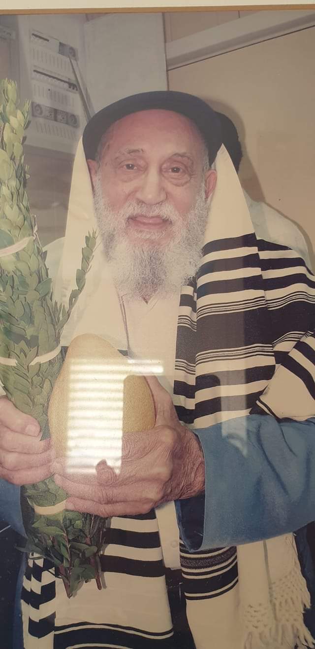 אלי אליהו