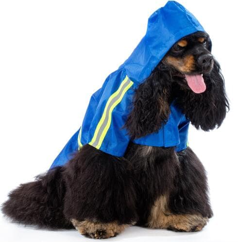 מעיל שמגן מפני קור וריח חזק של פרווה רטובה. Pet-Best 