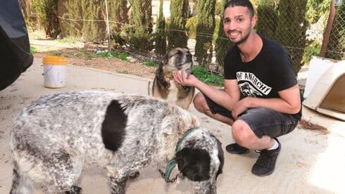מאור משה עם הכלבים. "יש מכנה משותף באהבה לבני אדם ולכלבים