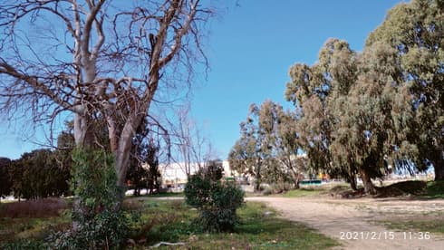 האזור בו שכנה המעברה