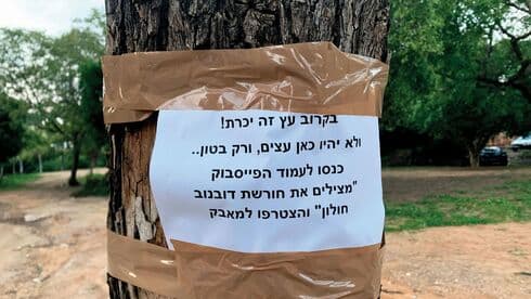 החורשה הוותיקה. יוצאים למאבק החורשה הוותיקה. יוצאים למאבק