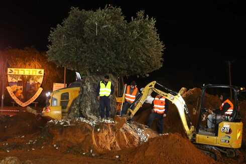 עבודות בצומת המשטרה עבודות בצומת המשטרה