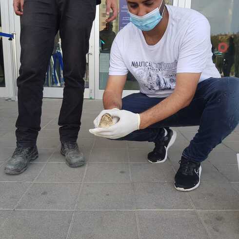 מבצע הצלה על פסי הרכבת