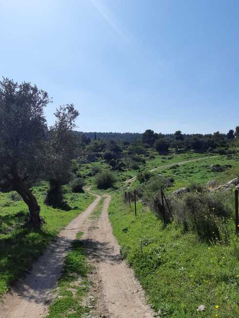 דרך התמר, פארק איילון