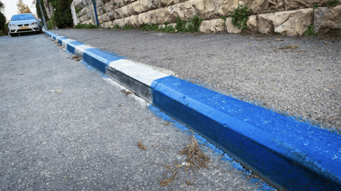 חינם בחג. חניית כחול לבן (צילום: רועי אלמן) חנית כחול לבן