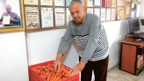שלום שגב. "האיזון הופר" 