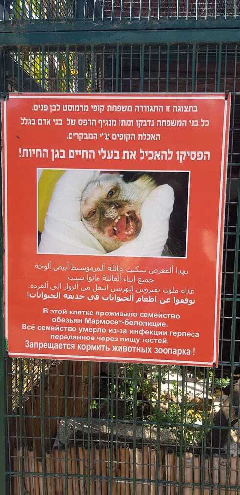 בעלי חיים בחי פארק