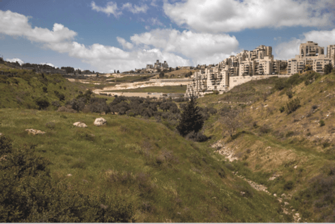 עמק הזיתים
